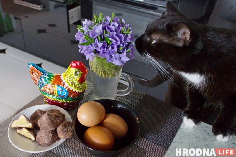 Вялікдзень прамінуў, яйкі засталіся: 3 рэцэпты страў, у якіх вараныя яйкі - галоўны прадукт