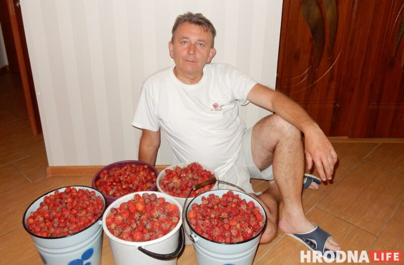 Мікола Таранда з часткай ураджаю трускавак з лецішча. Фота з асабістага архіва