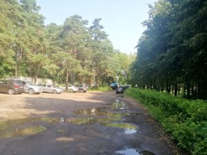 У начала Тропы здоровья в Пышках построят еще один общепит или бизнес-центр (обновлено)