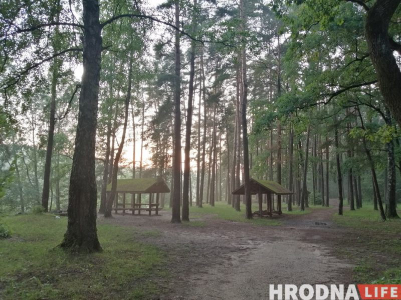 Не хватает районных скверов. Для Гродно готовят схему зеленых зон, которые будут охранять