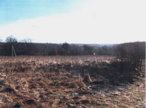 План аховы старажытных стаянак распрацуюць у Гродне. Вы маглі рэгулярна побач з імі гуляць і нічога не падазраваць