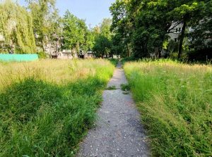 "Адгадайце, што? Адпіскі". Жыхары Фолюша ходзяць праз яр з-за будоўлі - мясцовыя ўлады не рэагуюць