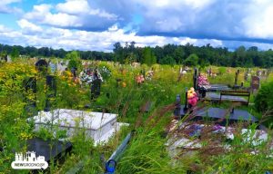 На могілках “Аўльс” трава зноў вырасла вышэй за магілы. Хто павінен сачыць за тэрыторыяй?