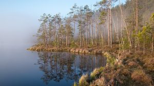 Другі візіт-цэнтр у Азёрах амаль гатовы. Навошта ён патрэбны?