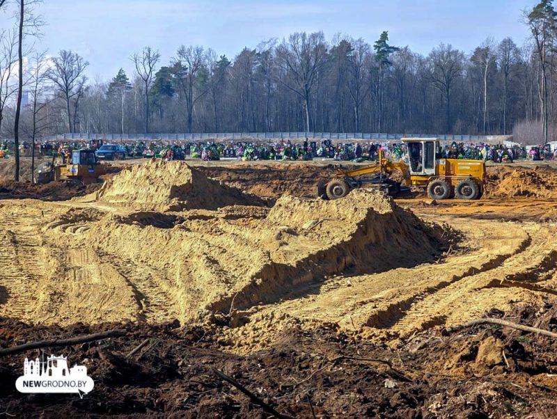 Сажалка на могілках Аўльс