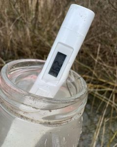 Гродзенскую фарэль хочуць ахоўваць у рамках міжнароднага праекта. Што цяпер з рэкамі пад Гроднам, дзе яе лавілі рукамі