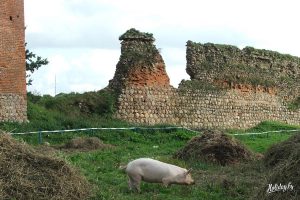 Генпракуратура Беларусі знайшла 1352 нацысцкія злачынцы. З іх асуджаныя - толькі з Гродзенскай вобласці Крэўскі замак