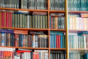 Забойца не дварэцкі. Гродзенскі блогер напісаў дэтэктыў пра скарб апошняга караля і прыгоды мясцовых гісторыкаў прыватная бібліятэка ў Гродне