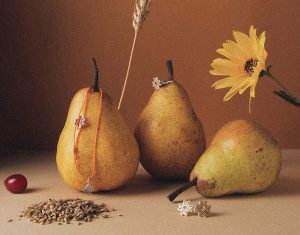 "О, свае!" Навошта беларусы маркіруюць сябе ўпрыгожваннямі і носяць Беларусь на сабе? упрыгожванні belaruskicry беларускі край карабін кулон брошка і запанкі