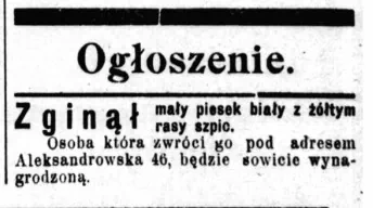 Абвестка ад 23.04.1924: "Знік маленькі сабачка белы з жоўтым пароды шпіц. Асоба, якая верне яго на адрас Аляксандраўская, 46, будзе шчодра ўзнагароджаная"
