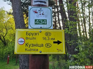 Штучная агароджа - згуба для прыроды. Гродзенскія навукоўцы заклікаюць Польшчу не будаваць плот на мяжы