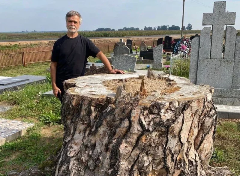 Сяргей Шакала побач з спілаваным дрэвам.
