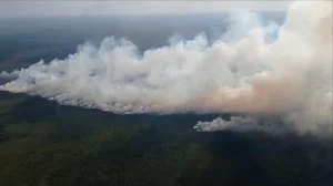 У Гродзенскай вобласці стаіць пах гару — прычын можа быць некалькі  Дым, які ідзе ад пажару ў лясгасе. Крыніца: Скрыншот БелТА відэа прэс-службы Мінлясгаса