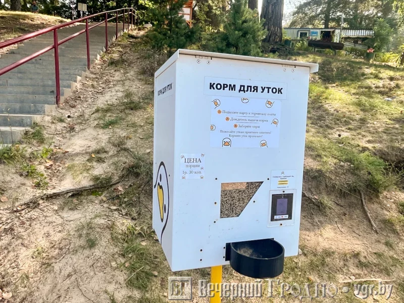 Апарт для кармлення качак. Фота: Вячэрні Гродна.