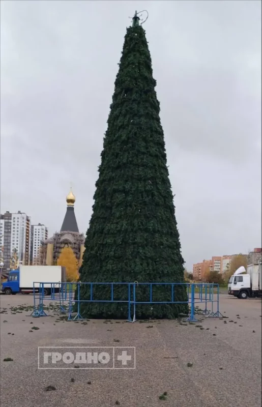 Мантаж ёлак у Гродне ў кастрычніку. Фота: "Гродна Плюс"