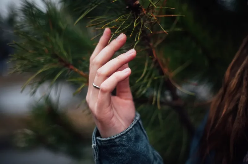 У Гродзенскай вобласці пасадзяць 2 млн дрэў замест паваленых навальніцай: можна далучыцца у гродзенскай вобласці будуць садзіць лес