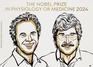 Лаўрэат Нобеля па медыцыне мае карані з Гродзеншчыны? Так, але не з таго раёну, які спачатку назвалі Віктар Амбрас і Гэры Раўкан. Ілюстрацыя Нікласа Элмехеда для Нобелеўскага камітэта