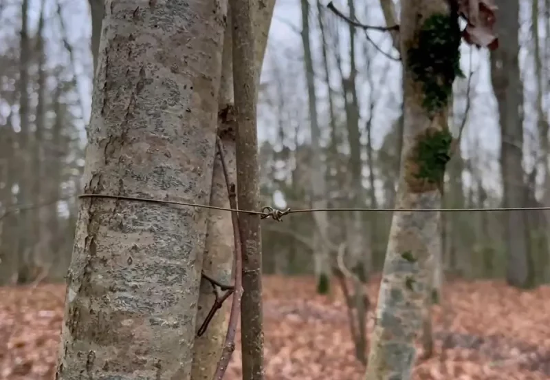 Матацыкліст усё ж зачапіў нацягнуты ў Пышках дрот - пасткі з'явіліся ў двух новых месцах Проволока для байкеров.