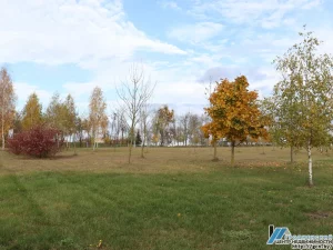 Участак каля "Гродна Азот" і могілак. Фота: гродзенскі цэнтр нерухомасці