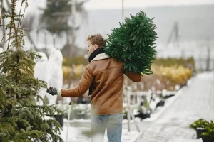 Рост да 30%: дзе і па чым у Гродне купіць навагоднія ялінкі і ялінкі ў кадках сезона-2024 (абноўлена) дзе купіць навагоднюю ёлку ў гродна?