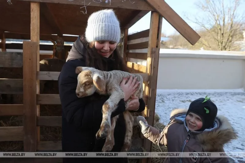 Живой вертеп возле Коложской церкви в Гродно. Фото: БелТА