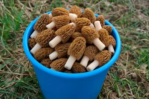 Сфоткацца са скірдамі, пахадзіць басанож і яшчэ 12 справаў, якія трэба зрабіць да канца лета