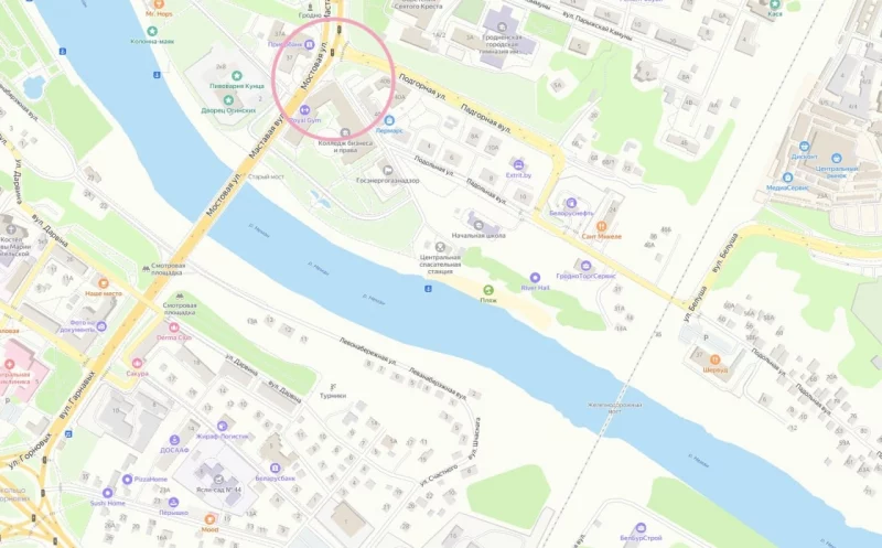 Гродзенскі гісторык разгадаў загадку малюнка Напалеона Орды
