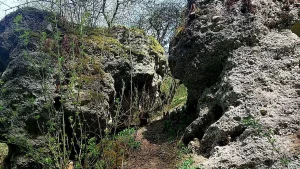 Беларускі даследавалі "Калодзежны роў" у Гродне — помнік, пра які ведаюць не ўсе