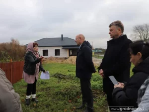 Коробчицы земля