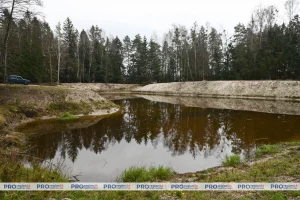 Пад Гродна жыхары добраўпарадкавалі возера і ледзь не трапілі пад крыміналку. Улады саступілі — «раёнка» выбачылася озеро Рыбница