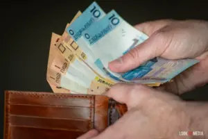 рубли в кошельке