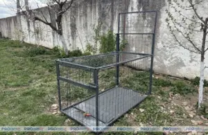 ловушки для собак