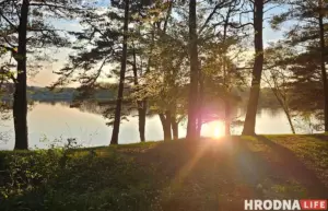 Гродзенская фірма забруджвала лес – у судзе яна спрабавала схітраваць з пробамі