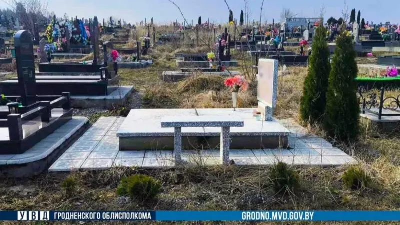 Жыхарка Гродна скрала на могілках чатыры туі. Цяпер ёй пагражае тры гады калоніі кладбище Аульс