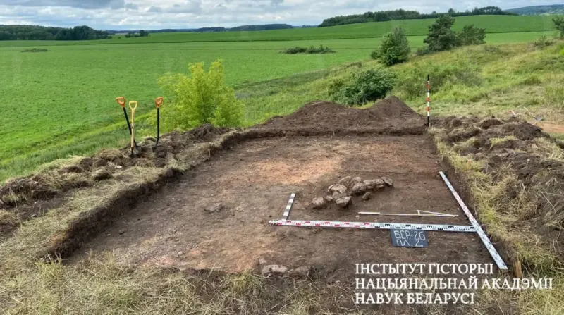 Драўляная сцяна XVI стагоддзя - археолагі пахваліліся новымі знаходкамі ў Карэліцкім раёне Знаходкі ў "Замку Кміты". Фота: Інстытут гісторыі НАН Беларусі