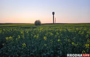 У Смаргоні работніцу фермы асудзілі за забруджванне земляў