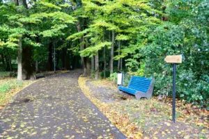 экотропа Румлево